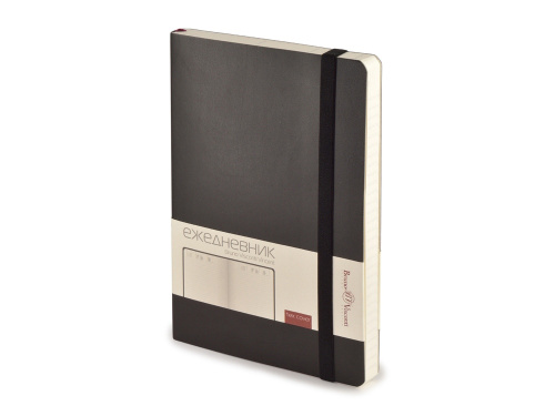 Ежедневник недатированный А5 «Vincent New»