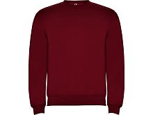 Свитшот с начесом «Clasica» детский Свитшот с начесом «Clasica» детский