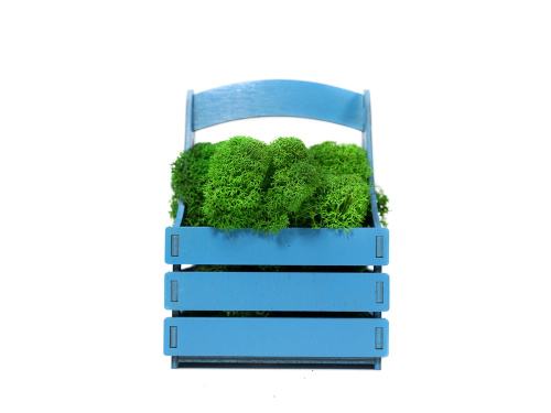 Композиция «Корзинка со мхом» Композиция «Корзинка со мхом»