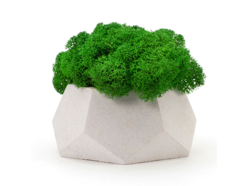 Кашпо бетонное со мхом «Альфа» Кашпо бетонное со мхом «Альфа»