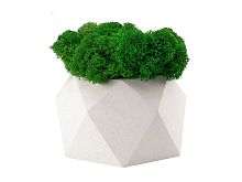 Кашпо бетонное со мхом «Бета»